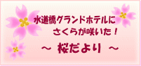 桜だより